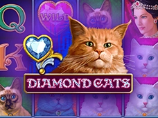 Diamond cats. 